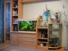 ���������� ���� � ������ �������.