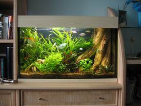 ���������� ���� � ������ �������.