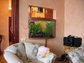 ���������� ���� � ������ �������.