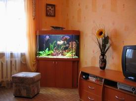 ���������� ���� � ������ �������.