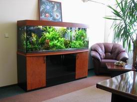 ���������� ���� � ������ �������.