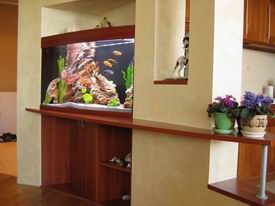 ���������� ���� � ������ �������.