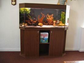 ���������� ���� � ������ �������.