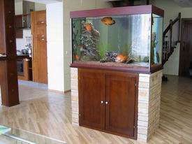 ���������� ���� � ������ �������.