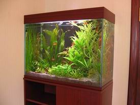 ���������� ���� � ������ �������.