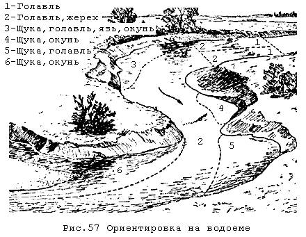 Хорошие места для ловли на оке Хорошие места для ловли на оке