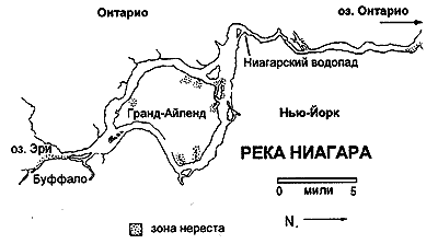 Карта рек и водопадов