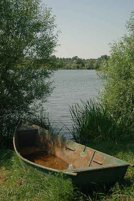 5-06-26 10'20 D7 8900