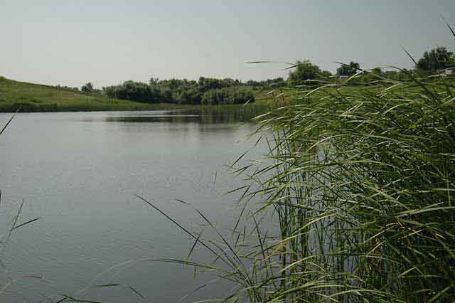 5-06-26 10'47 D7 8933