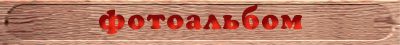 foto.gif (10651 bytes)