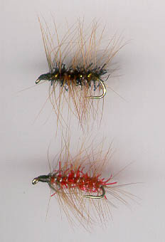 caterpillar.jpg (16163 bytes)