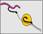 karp06_2.jpg (5333 bytes)