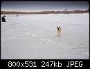   ,   
:  Dog 1-0018.jpg
: 346
:  247,2 
ID:	58124