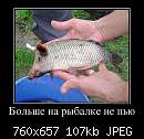   ,   
:  142959_bolshe-na-ryibalke-ne-pyu_demotivators_ru.jpg
: 195
:  107,0 
ID:	255820