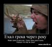  borya332