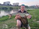   Nikolay0208
